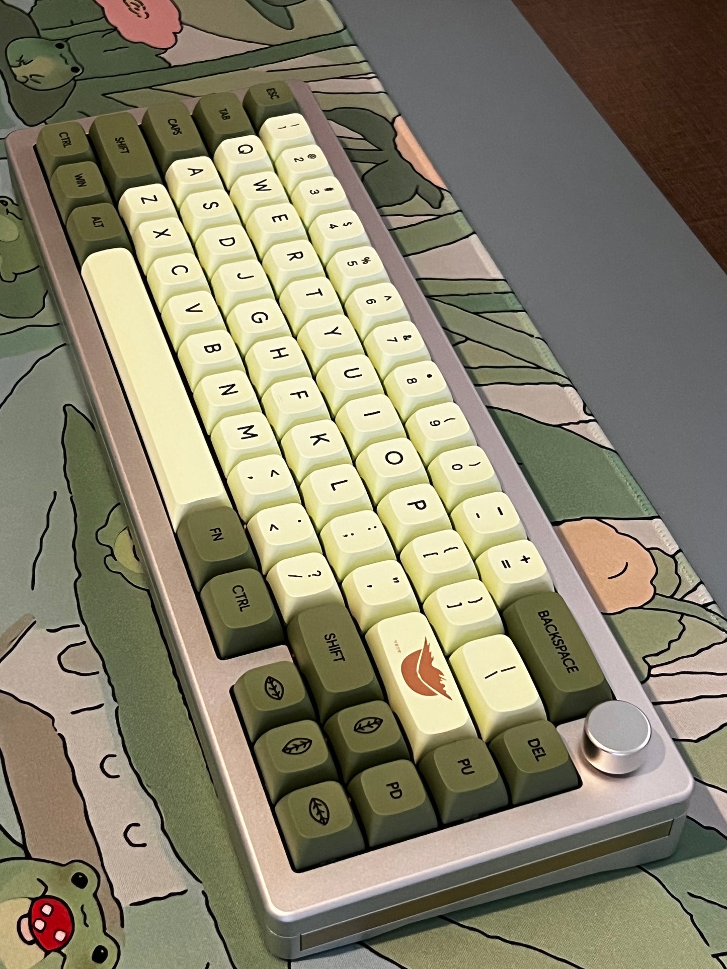 Y65L Bundle