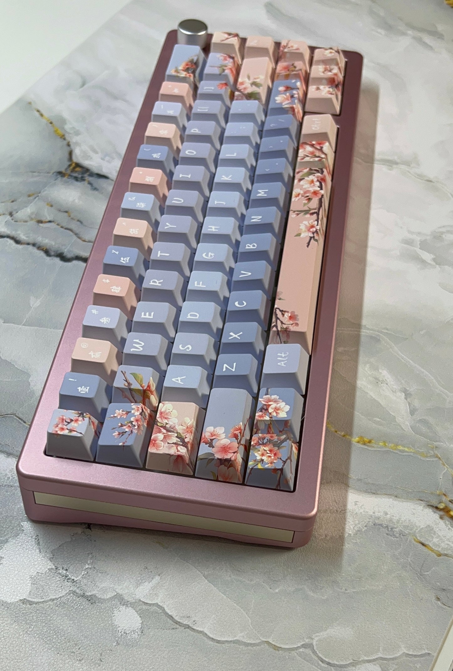 Y65L Bundle