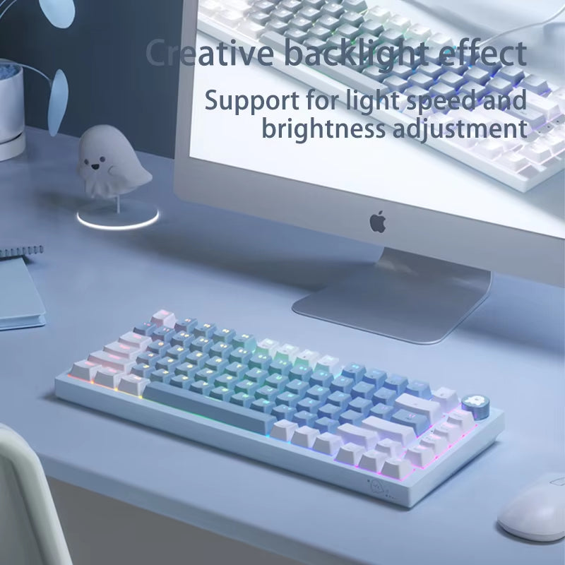 SUMREDA Wireless Bluetooth and Wired Three-Mode Mechanical Keyboard RGB Backlight Hot Swap Gasket Structure Gaming Keyboard