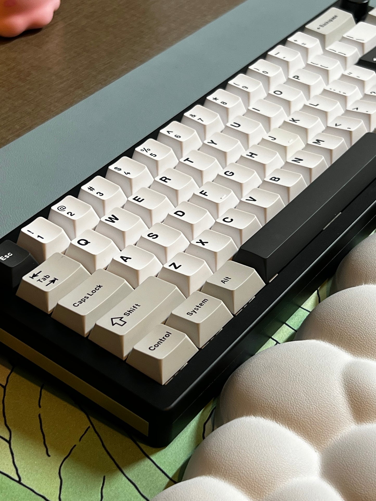 Y65L Bundle