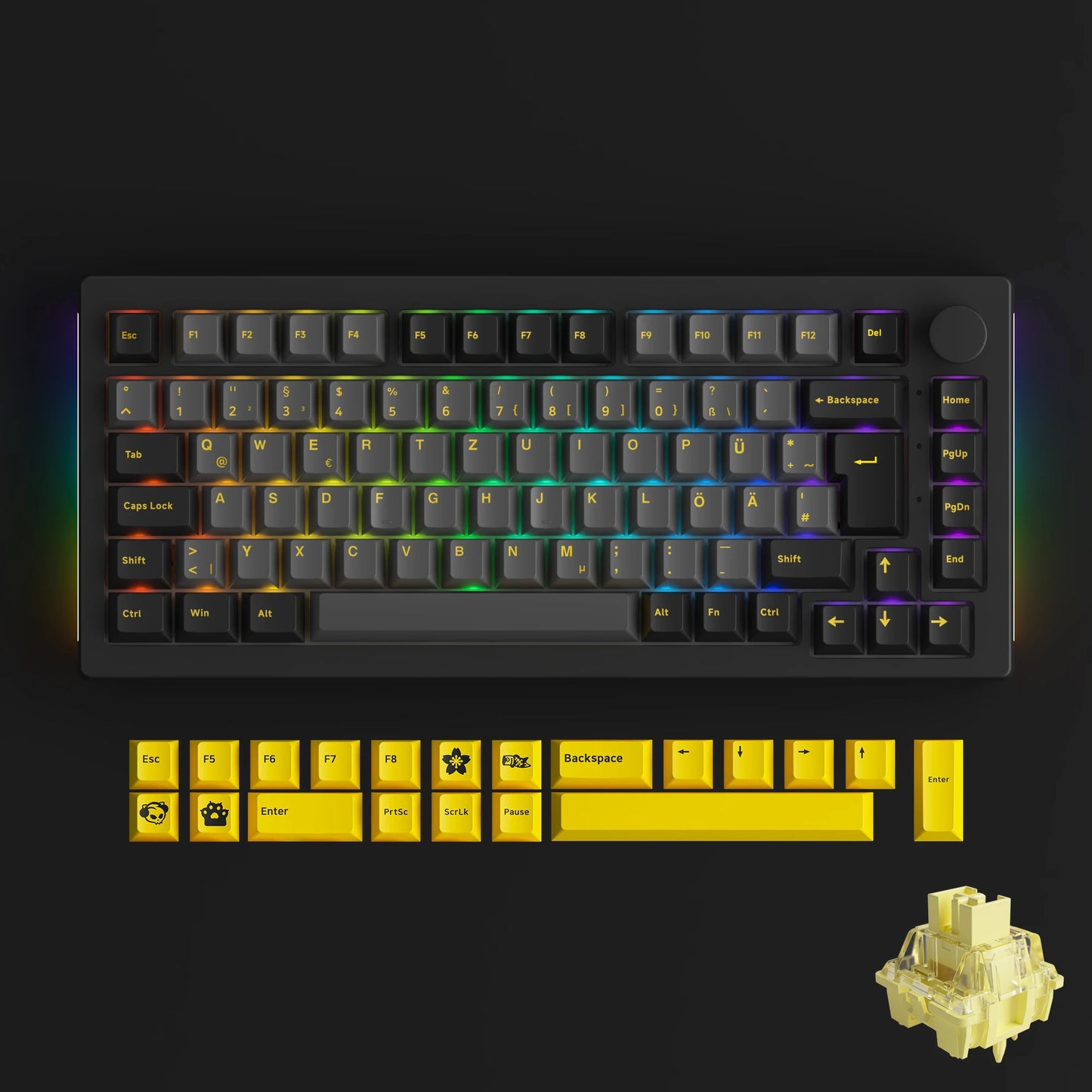 Akko 5075B plus ANSI/ISO 75% Mechanical Gaming Keyboard 3/5 Pin Hot Swap Three-Modes RGB 2.4Ghz Wireless