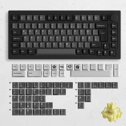 Akko 5075B plus ANSI/ISO 75% Mechanical Gaming Keyboard 3/5 Pin Hot Swap Three-Modes RGB 2.4Ghz Wireless