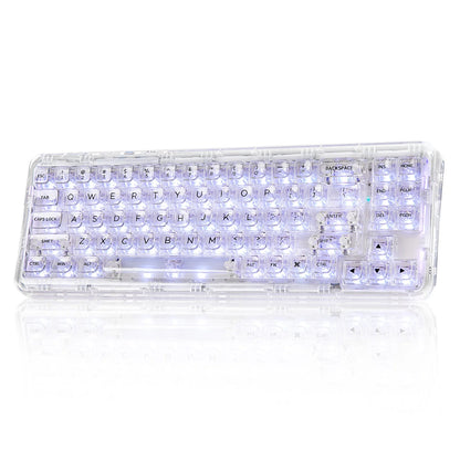 YUNZII X71 68% Layout Wireless BT/2.4G/USB-C Gasket Hot-Swap Transparent RGB Mechanical Gaming Keyboard with Clear Keycaps