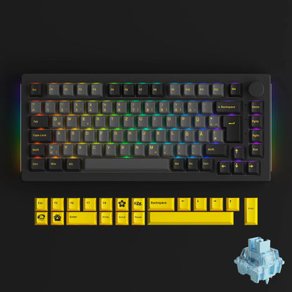 Akko 5075B plus ANSI/ISO 75% Mechanical Gaming Keyboard 3/5 Pin Hot Swap Three-Modes RGB 2.4Ghz Wireless