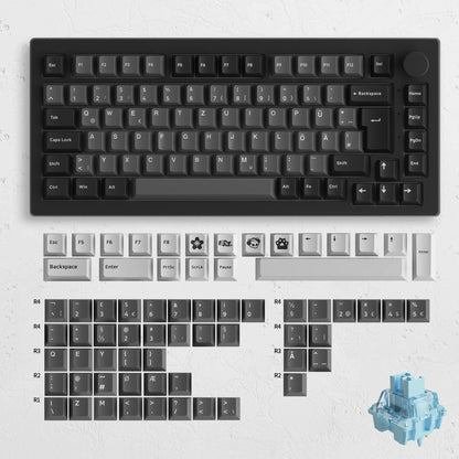 Akko 5075B plus ANSI/ISO 75% Mechanical Gaming Keyboard 3/5 Pin Hot Swap Three-Modes RGB 2.4Ghz Wireless